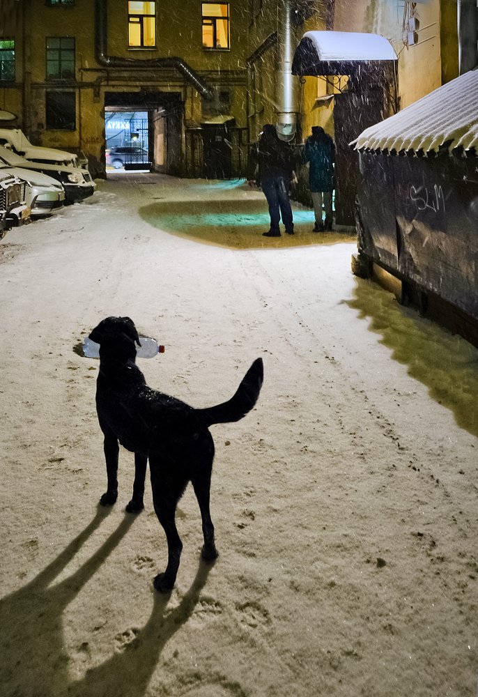 Фотография автора Ольга Виноградова