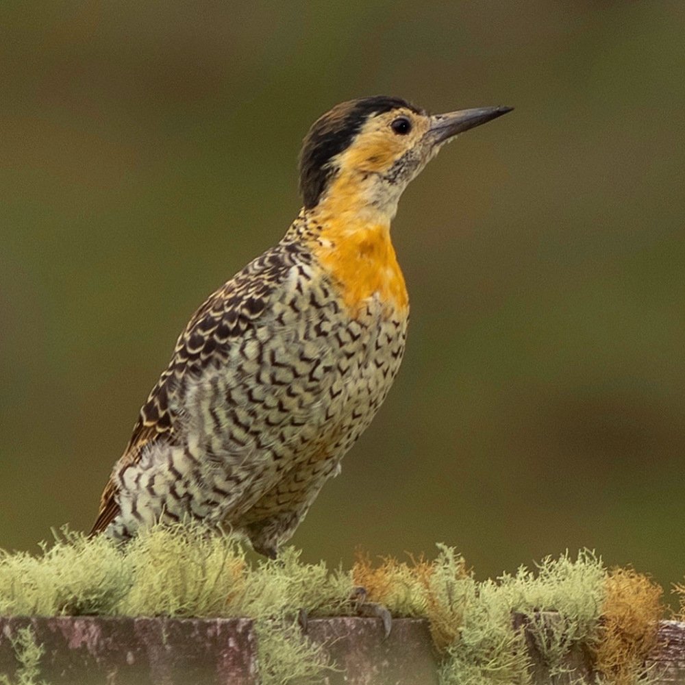 Photograph by Ruy Beck