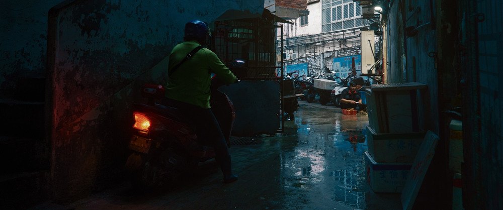 Morning at the fish market