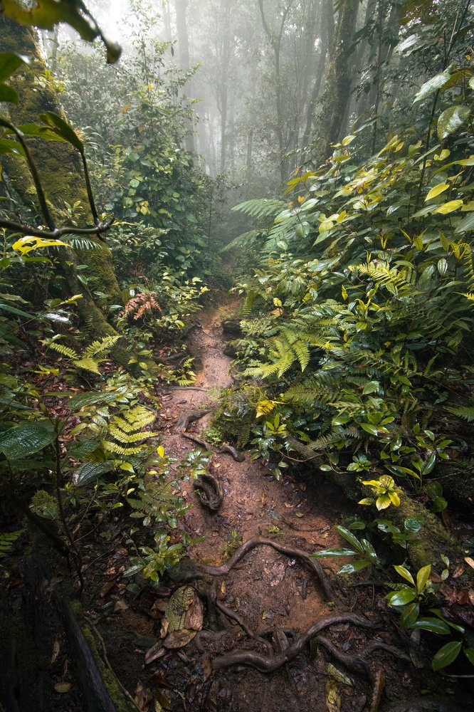 Photograph by Oscar Wilfan