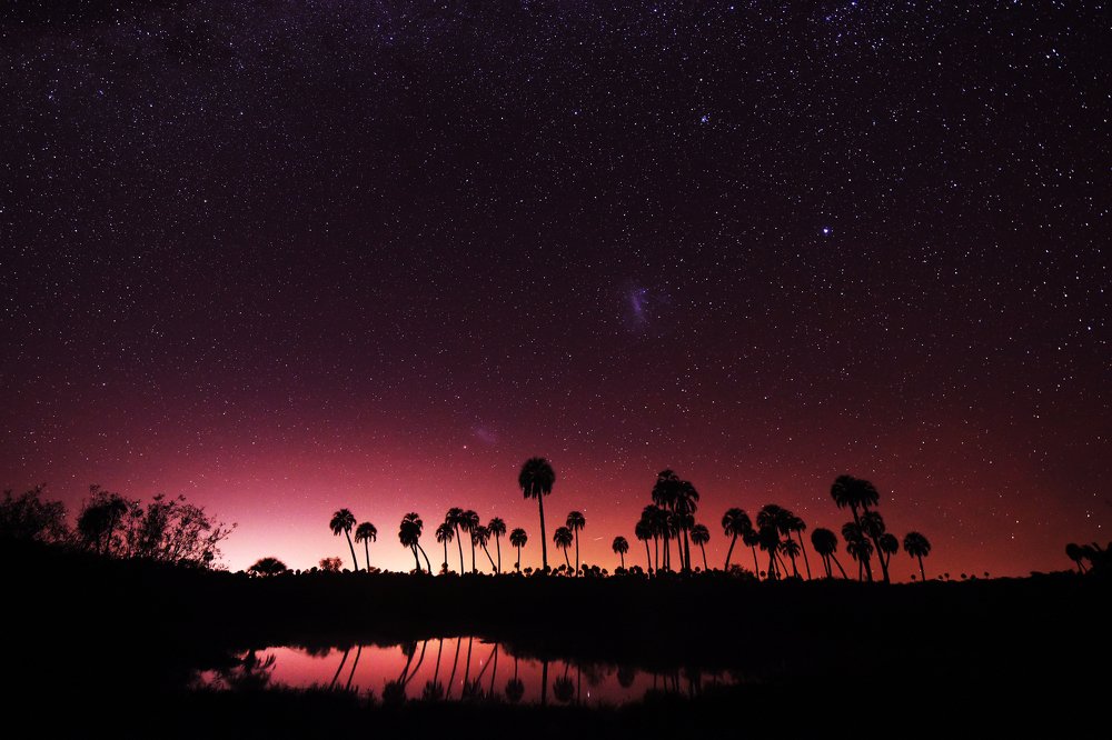 El palmar -Argentina