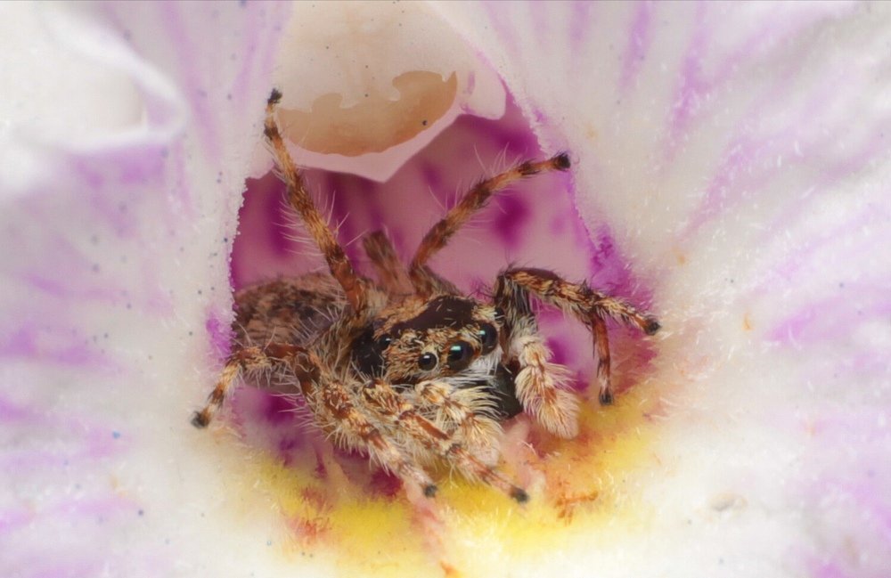 Photograph by Rommel Oliveros