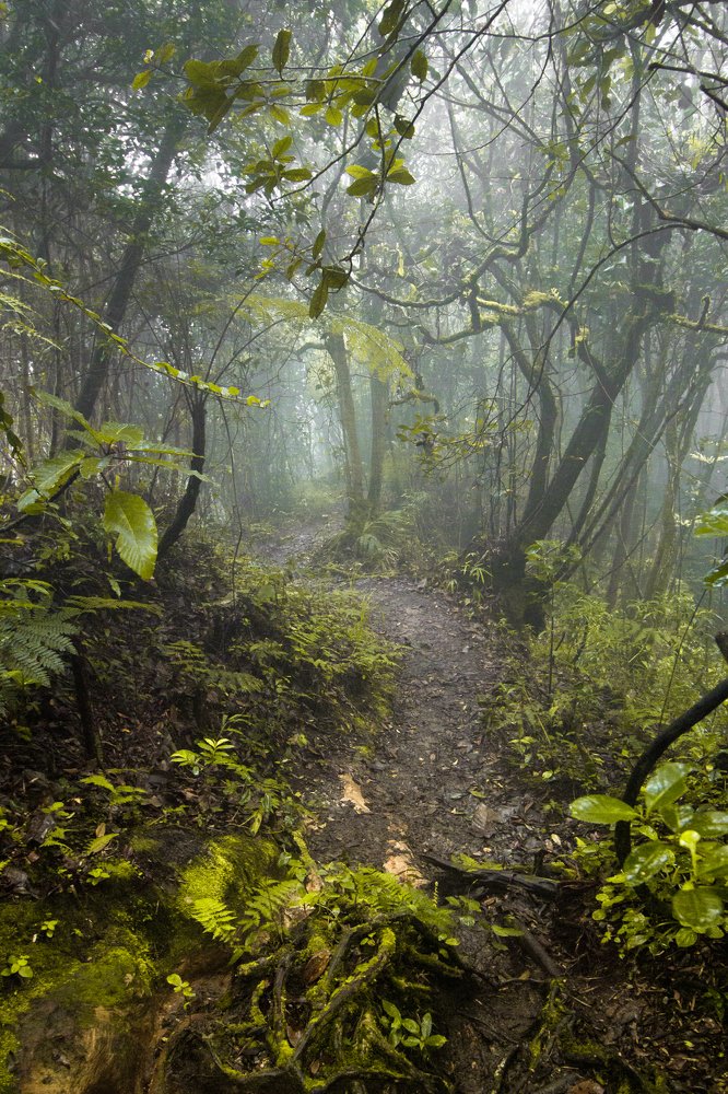 Photograph by Oscar Wilfan