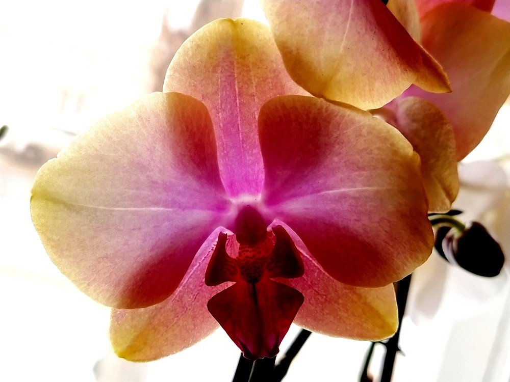 Photograph by Karina Yakovleva