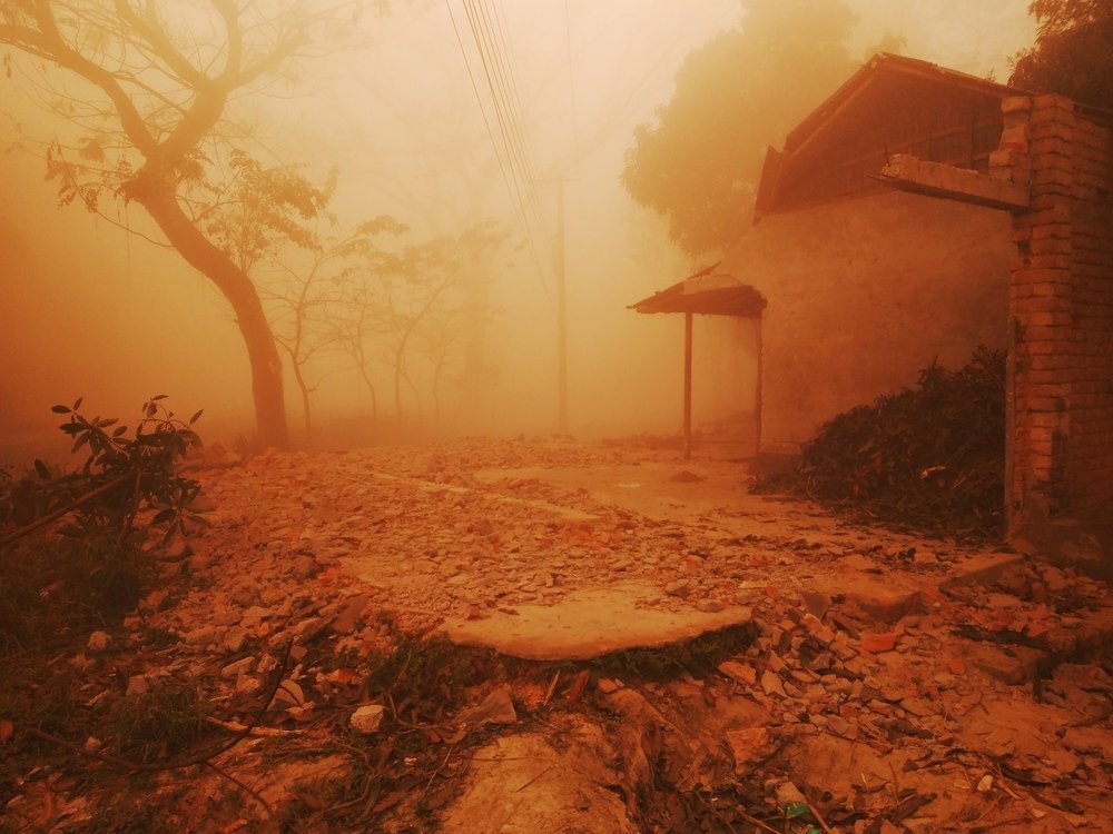 Photograph by Md Abu Sayeed Mondal