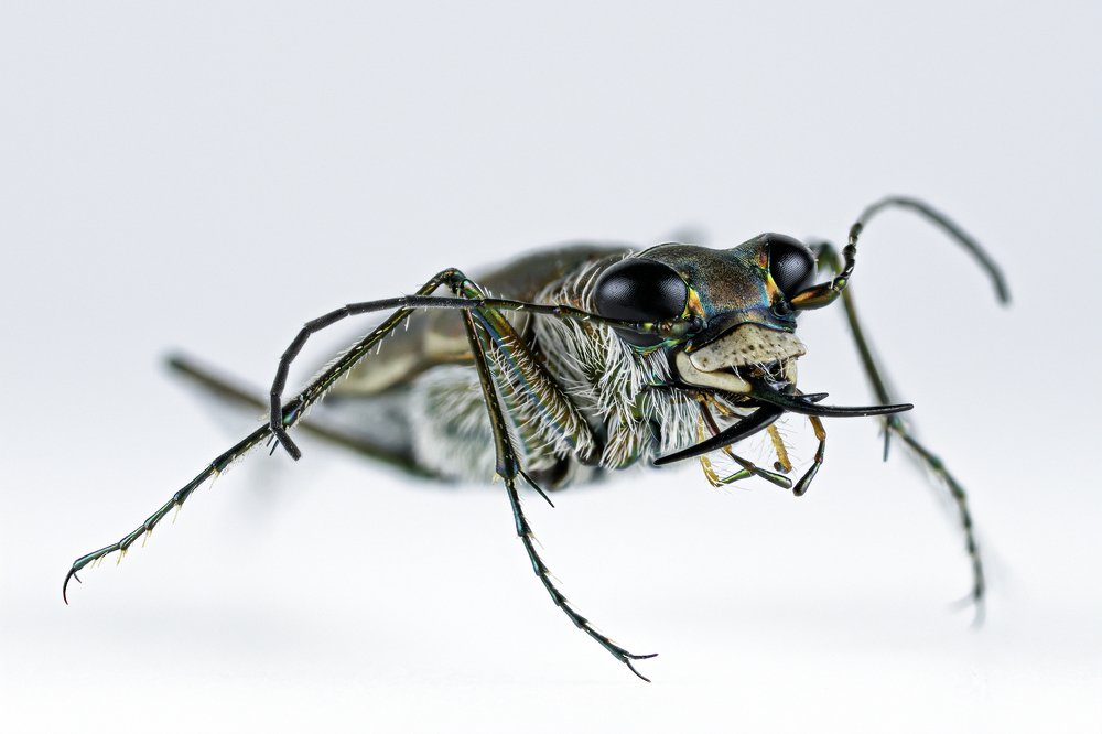 Photograph by Reynante Martinez