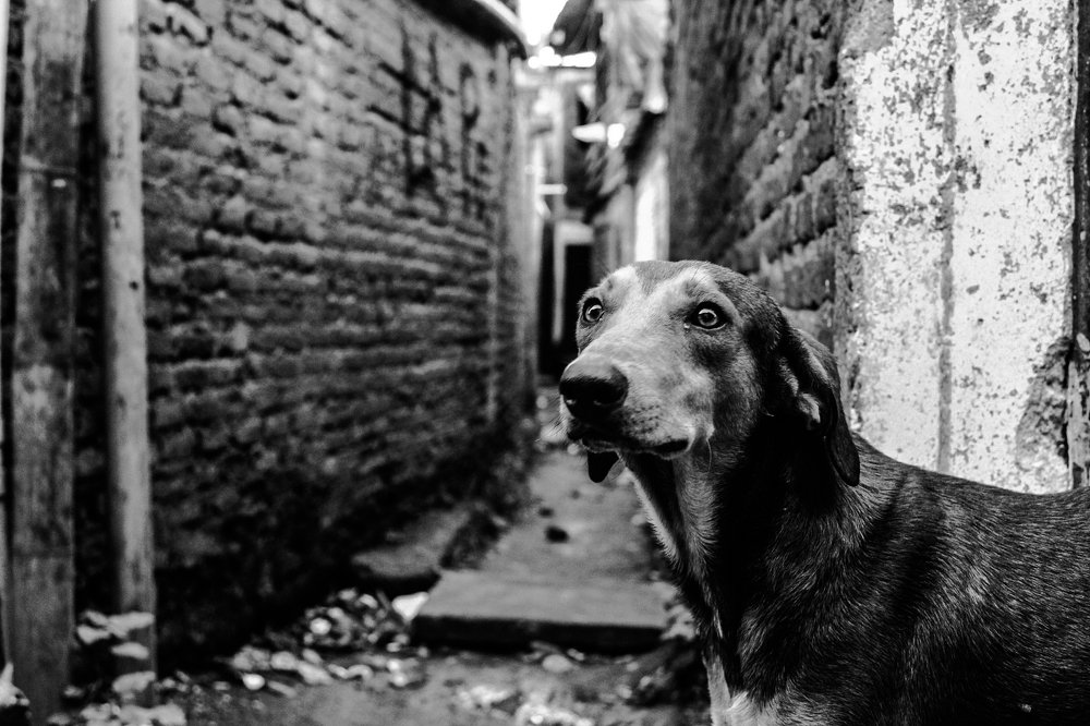 Photograph by Lina Hernández