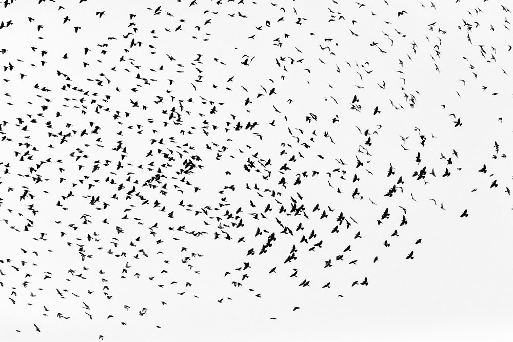 Photograph by Yamile Alfaro Picco