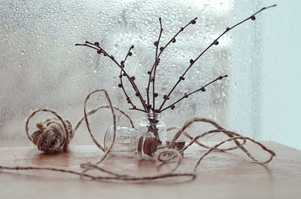 Photograph by Аликина Татьяна