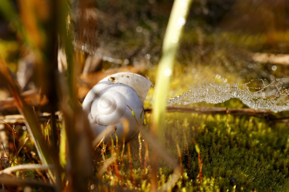 Photograph by Алексей Малых