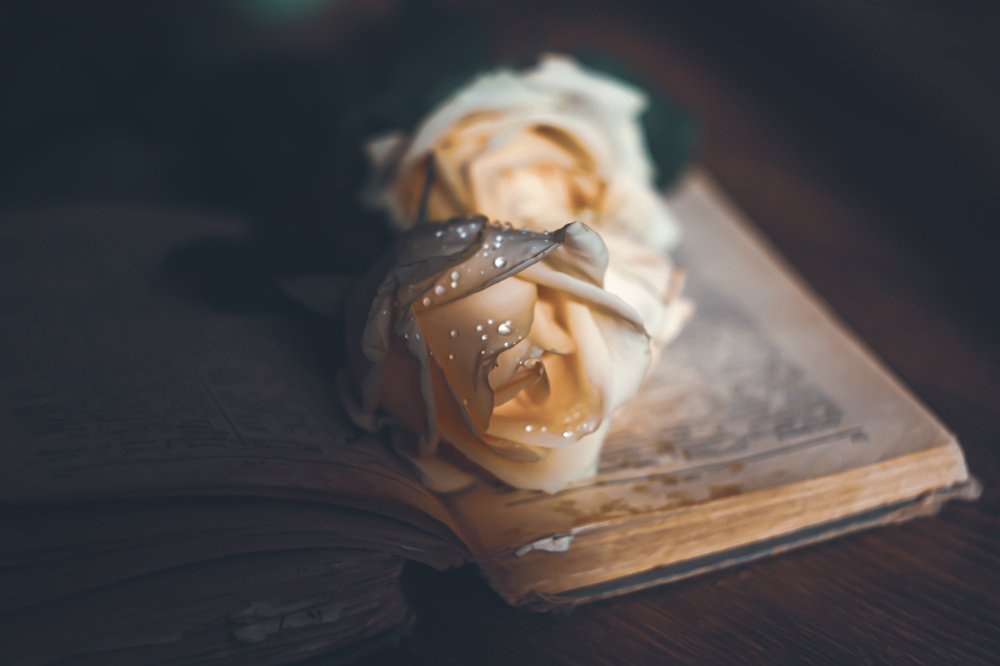 Photograph by Юлия Саморукова