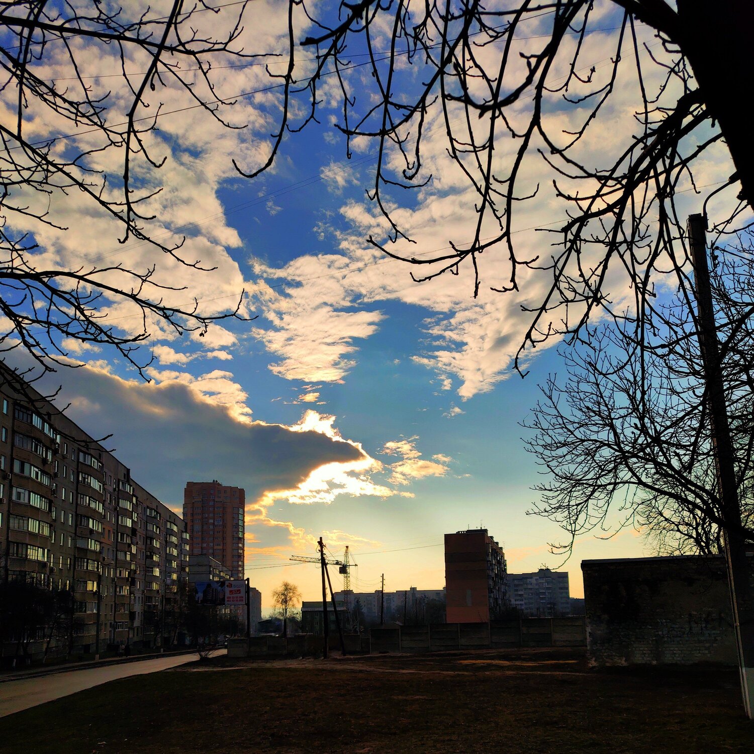 Photo #4325525