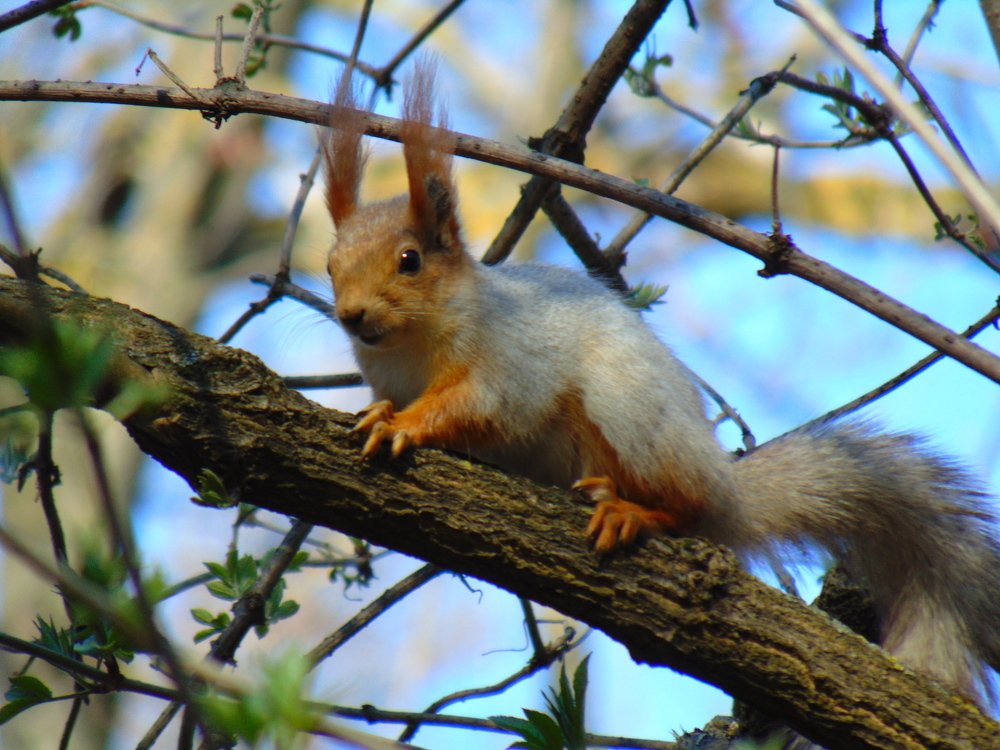 Photograph by Ольга Шевцова