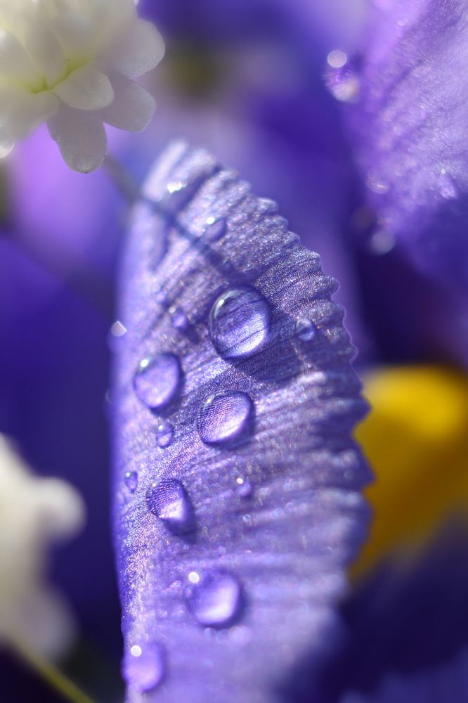 Фотография автора Анастасия Руднева