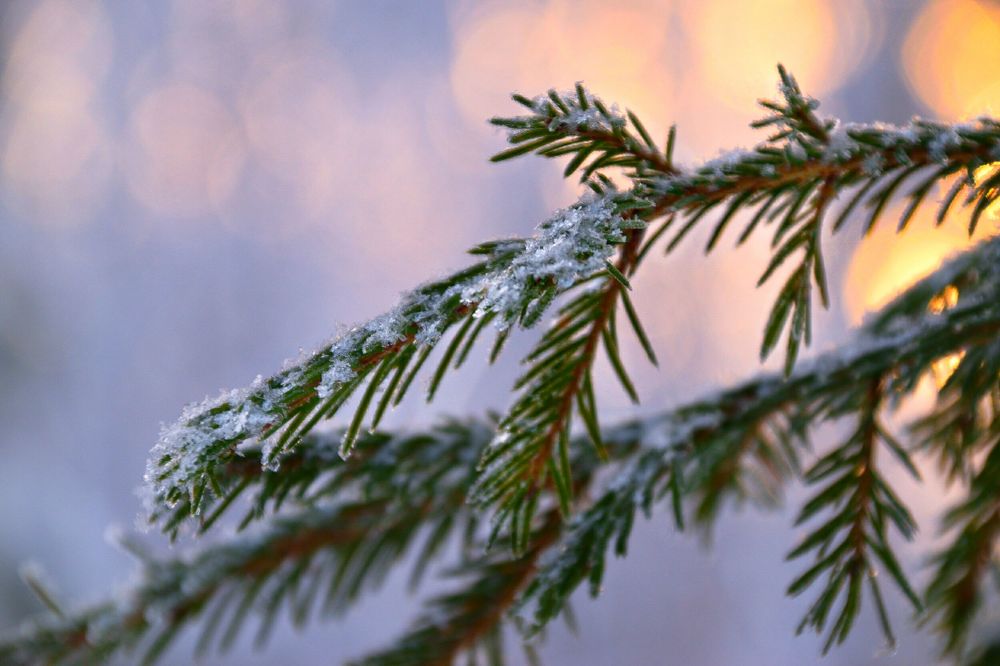 Фотография автора Анастасия Руднева