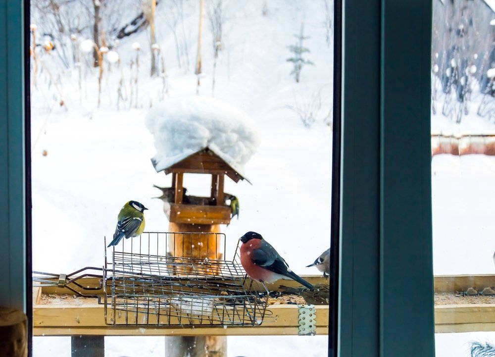 Photograph by Nadezhda