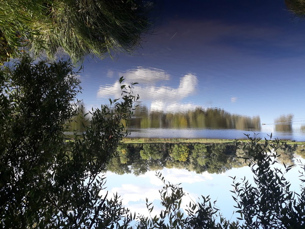 Photo #4325743