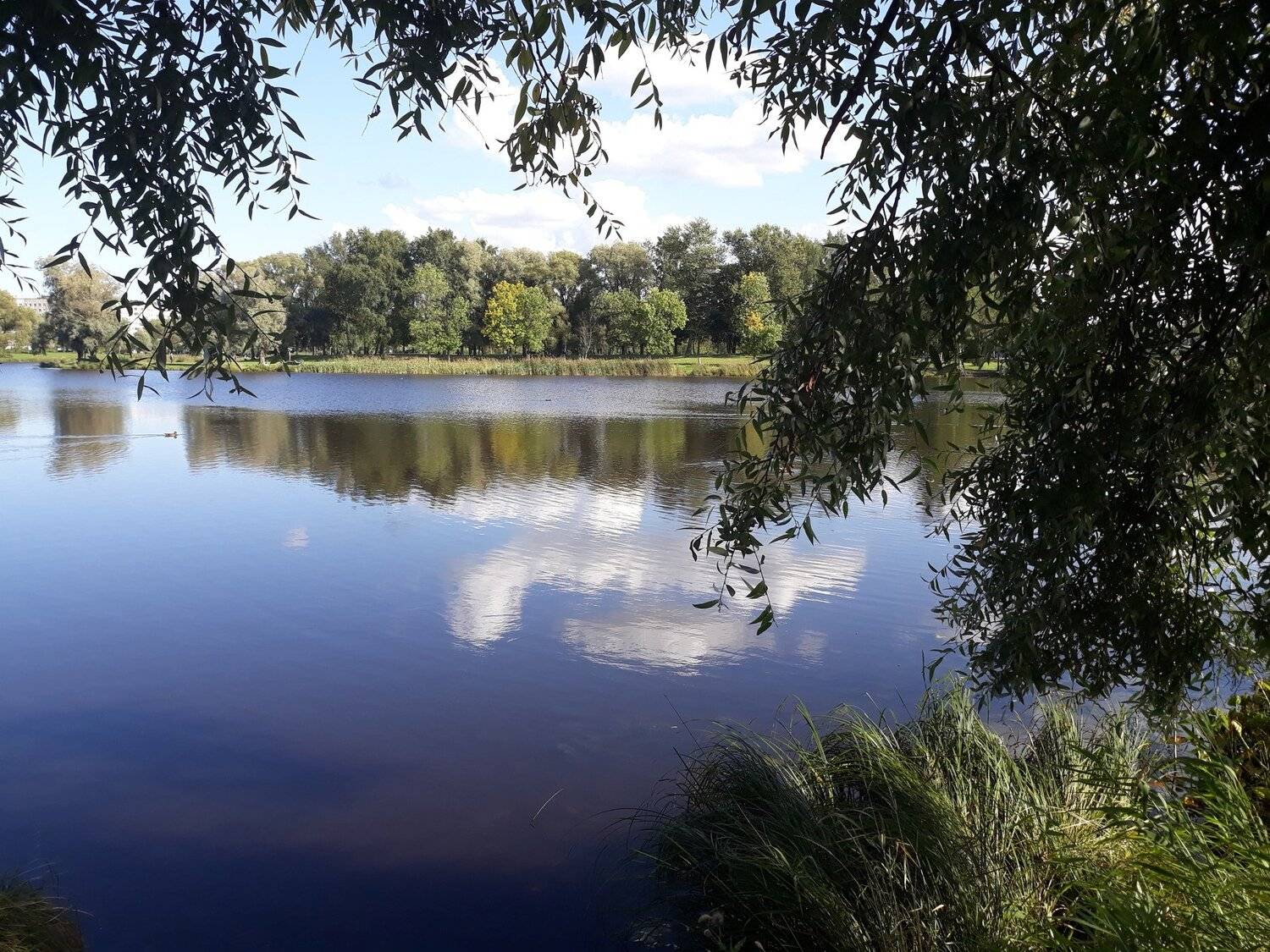 Photo #4325743