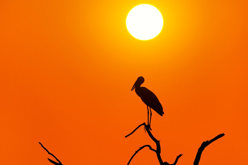 Photograph by Alok Katkar