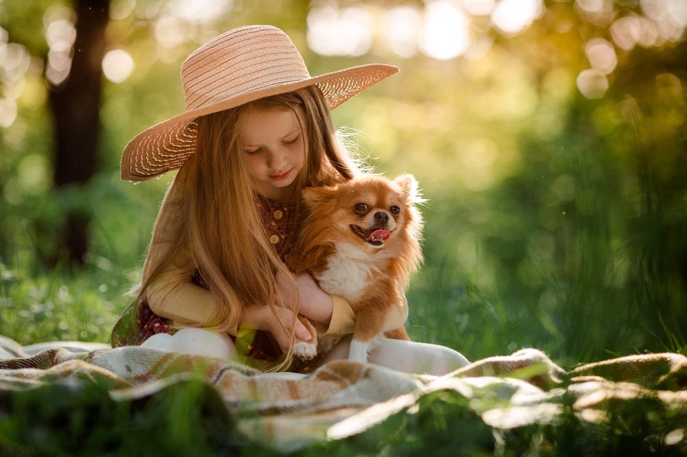 Солнечным днём