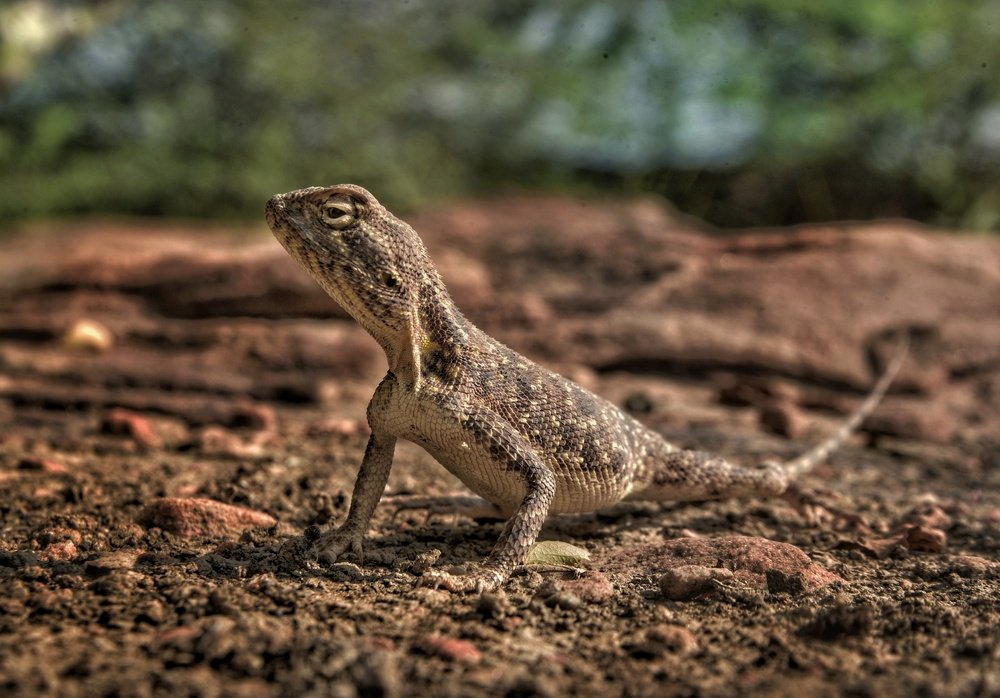 Фотография автора Vikash Mutha