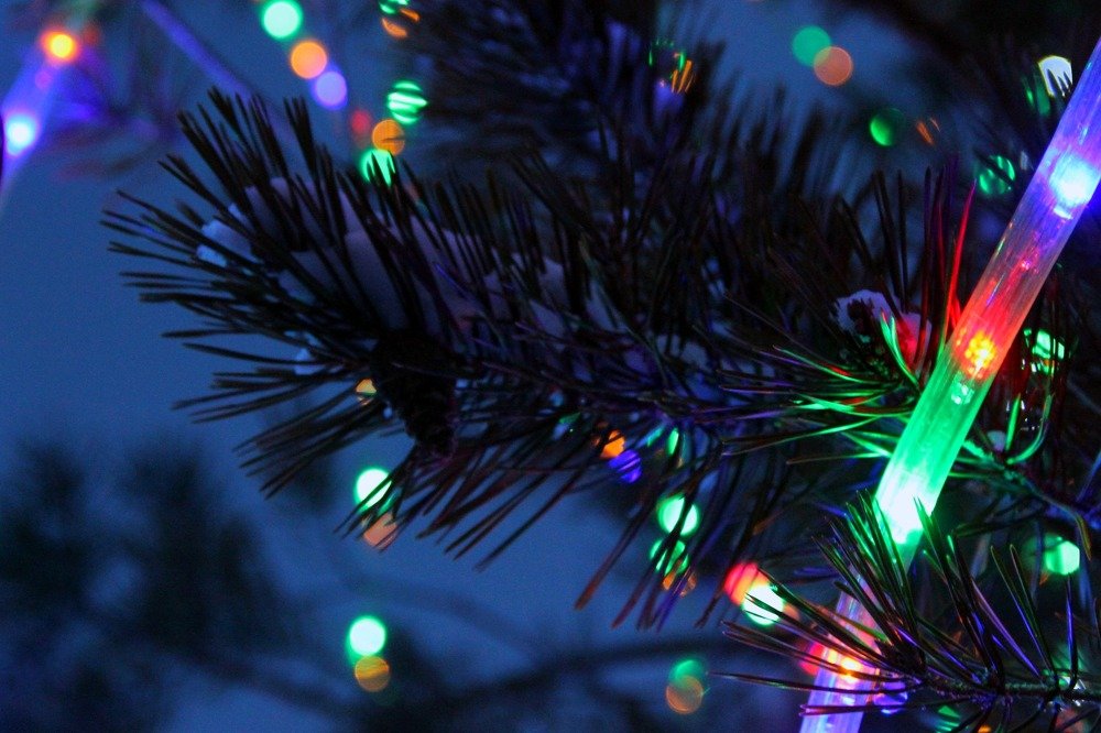 Photograph by Алина Маннапова