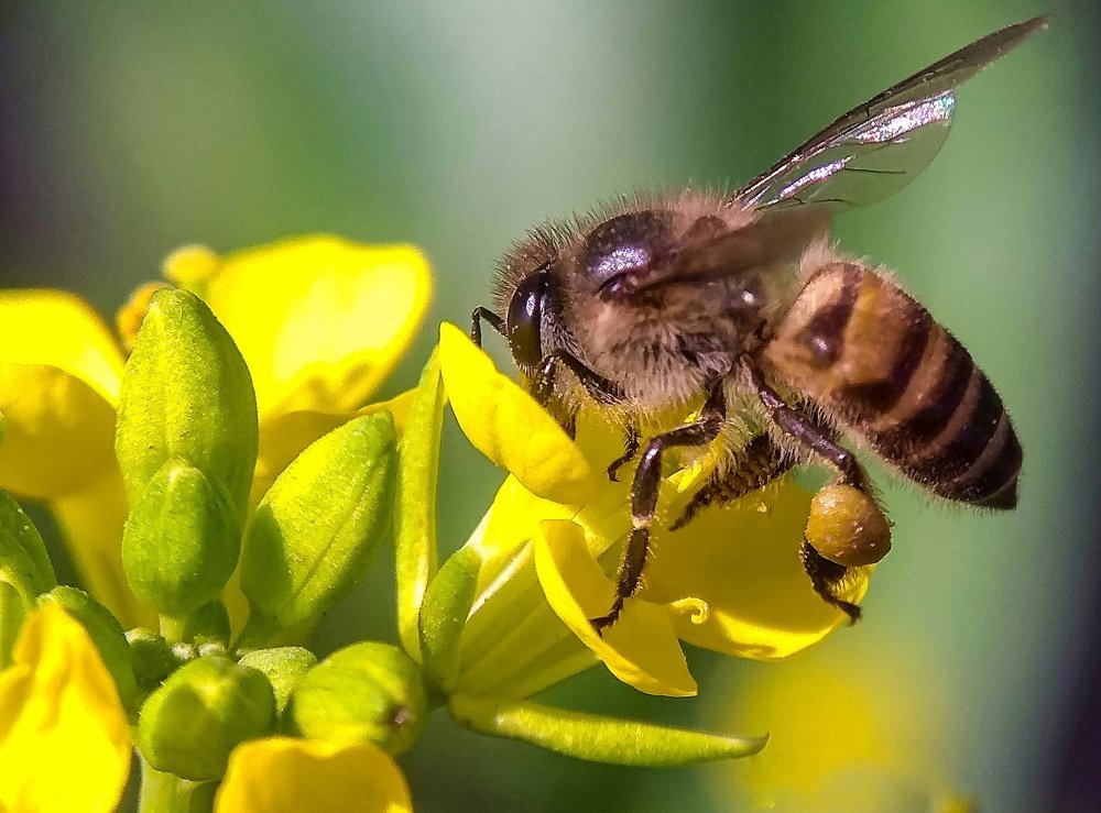 Photograph by Susmita Ghosh