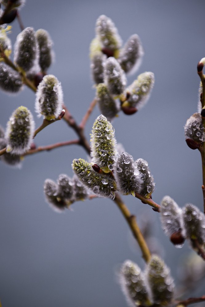 Фотография автора Анастасия Руднева