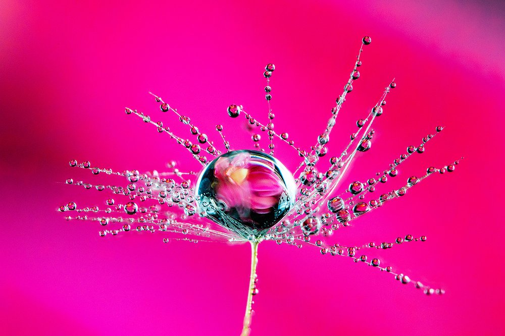 Photograph by Иван Радьков