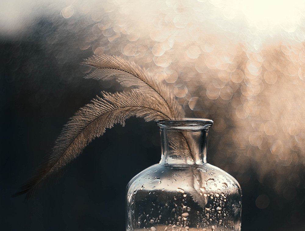 Photograph by Светлана Кавказская