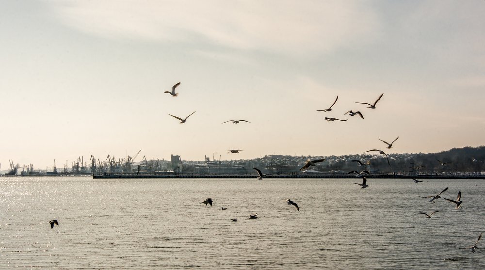 Photograph by Ludmila Buyanova