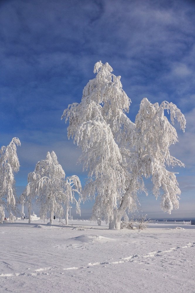 Photograph by Наталья Фрейман