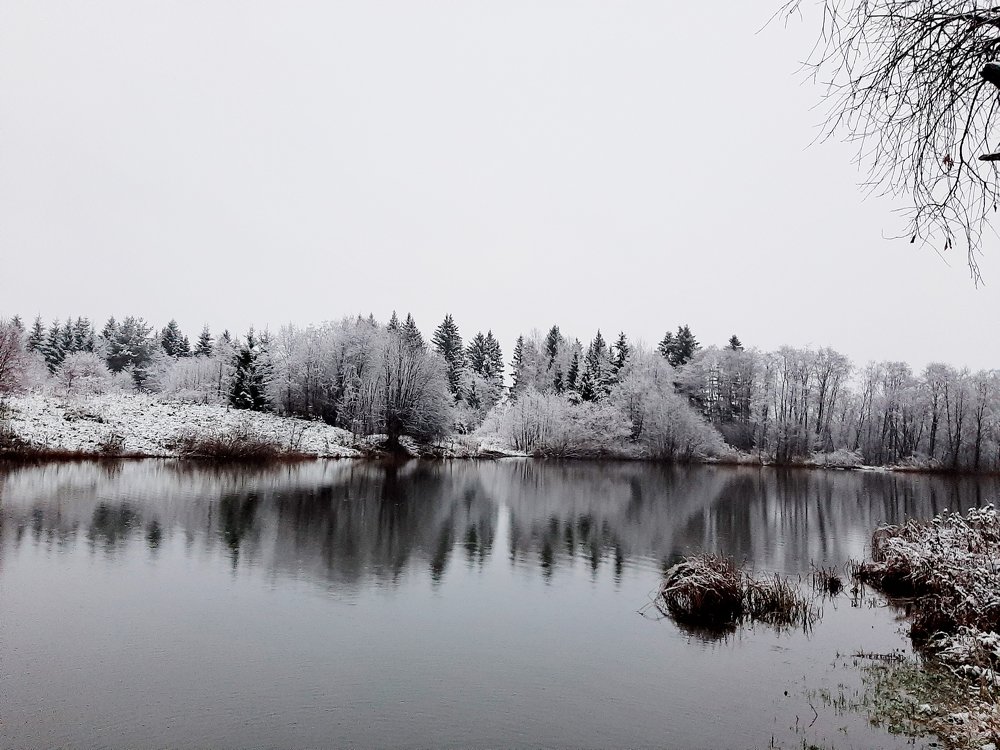 Photograph by Наталья Борюшкина