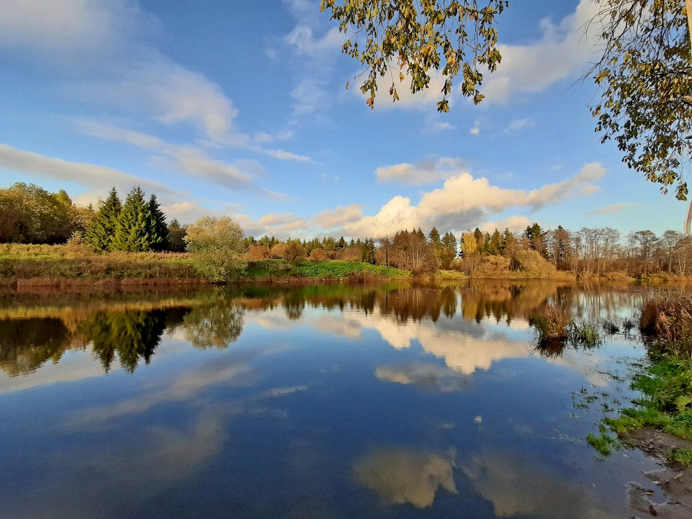 Photograph by Наталья Борюшкина