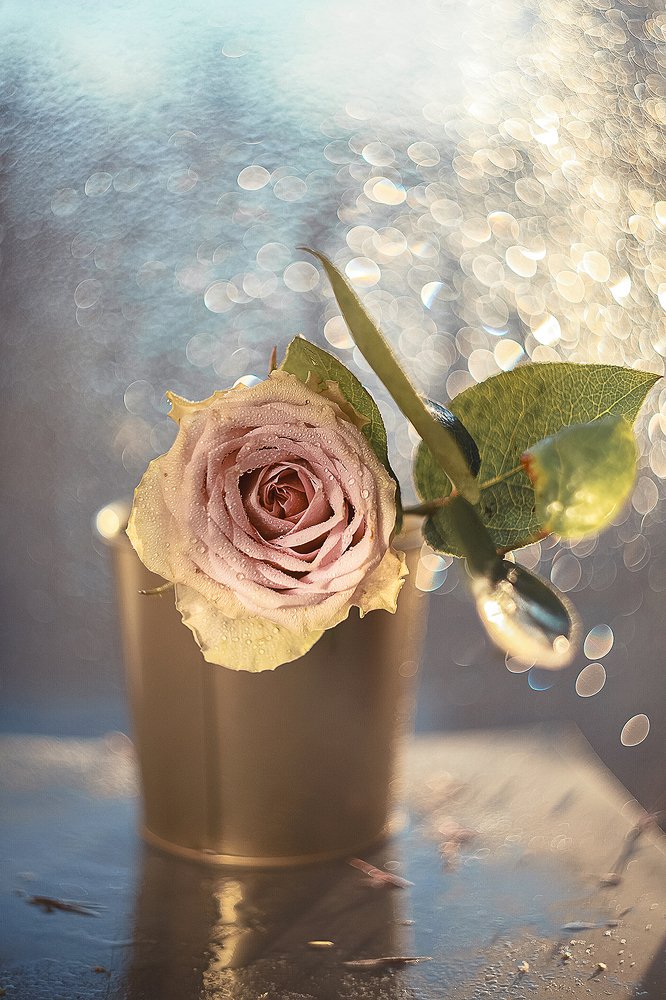 Photograph by Светлана Кавказская