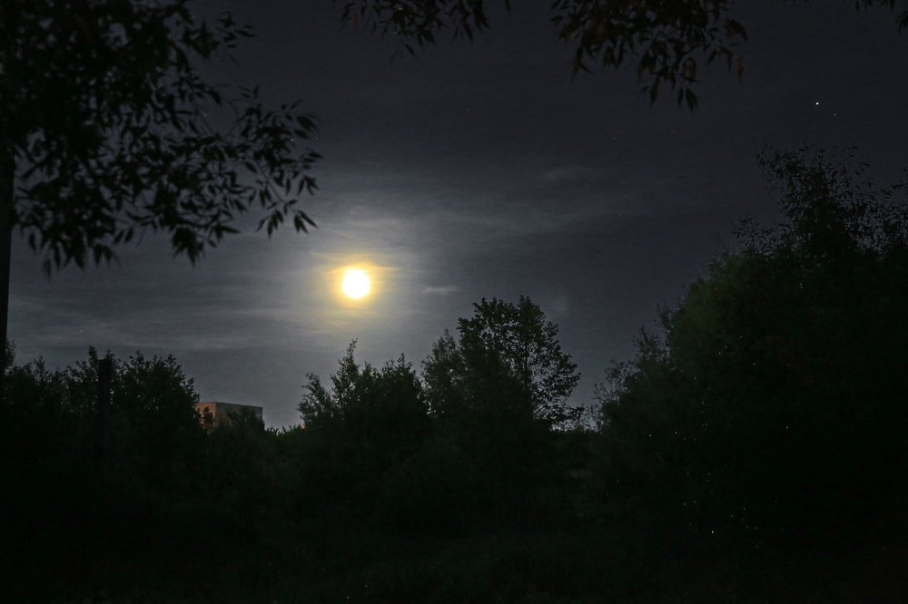 Photograph by Сергей Калинин