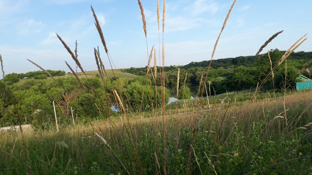 Photograph by Камила