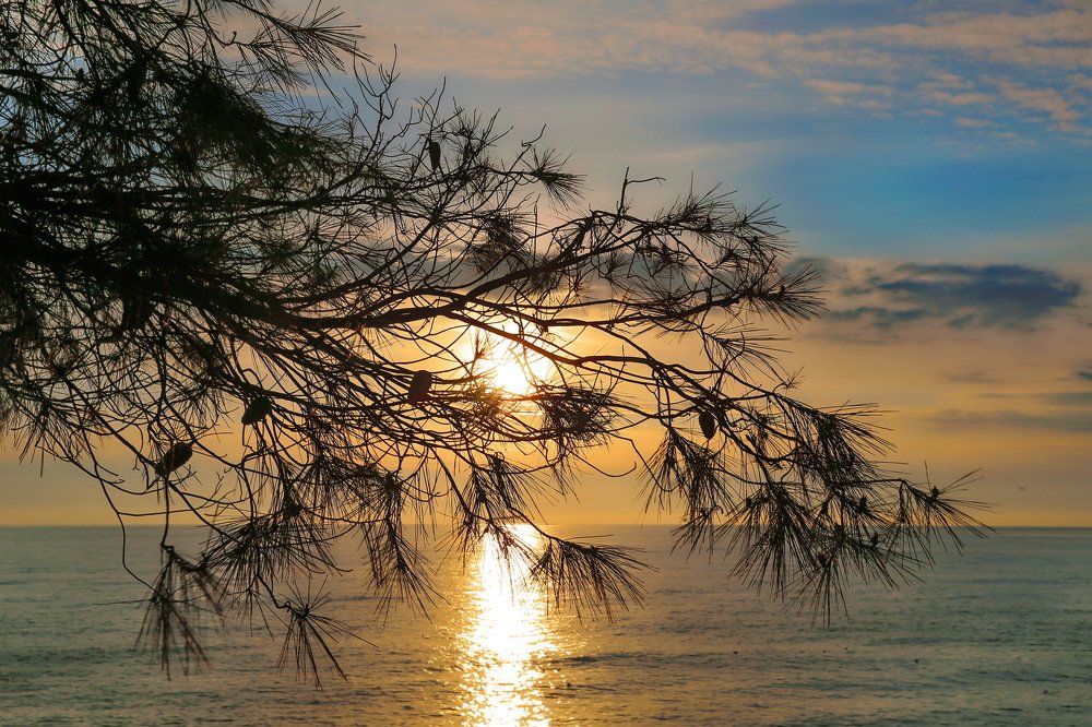 Photograph by Сергей Калинин