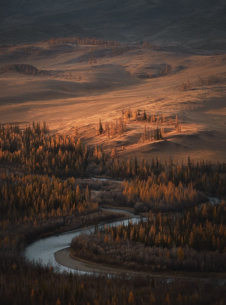 Photograph by Степаненко Ольга