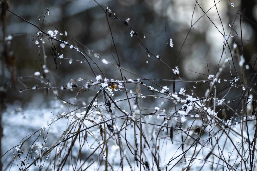 Photograph by Владимир