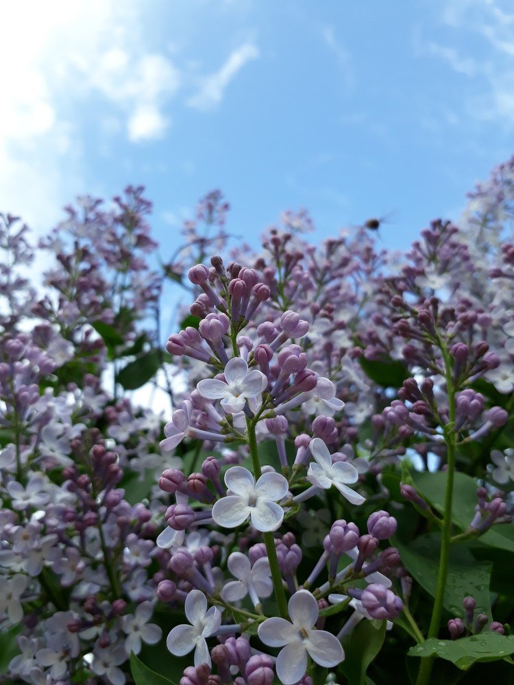 Photograph by Камила