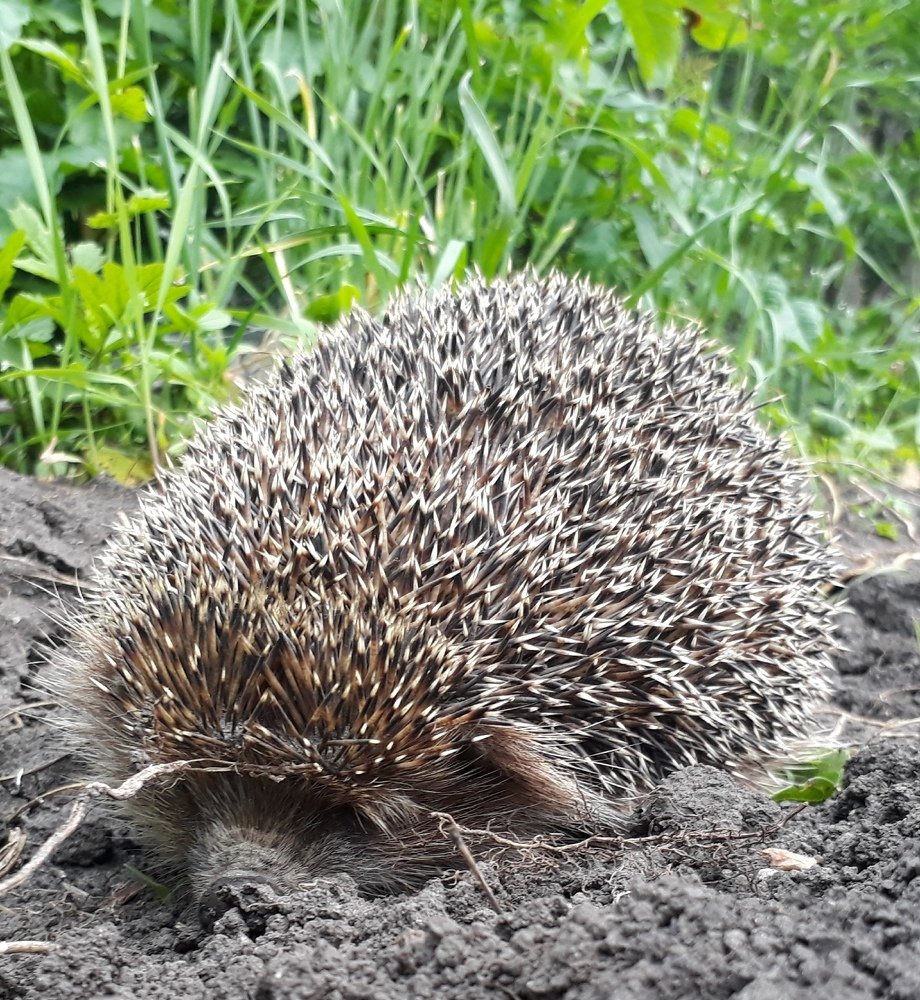 Photograph by Камила