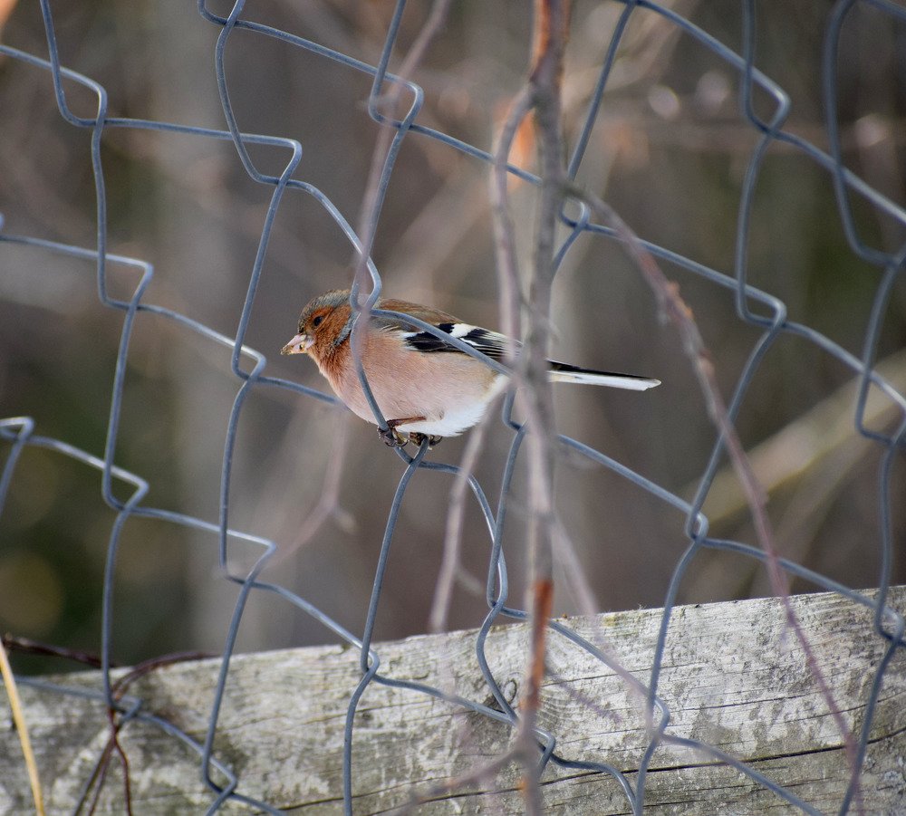 Photograph by Galya Krasteva