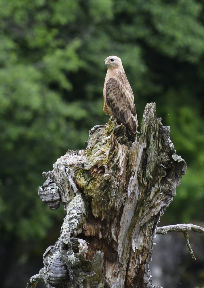 Photograph by Роев Александр