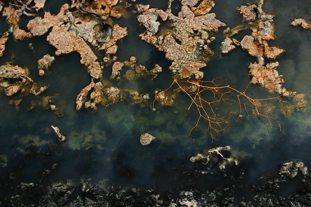 Photograph by Yulia Parfenova