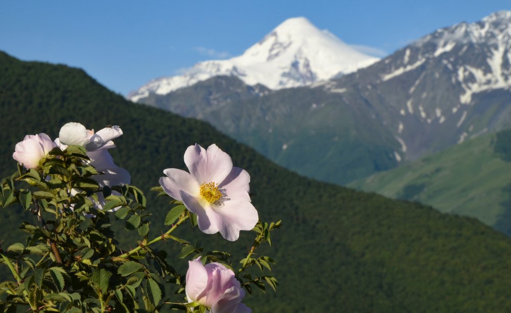 Photograph by Роев Александр