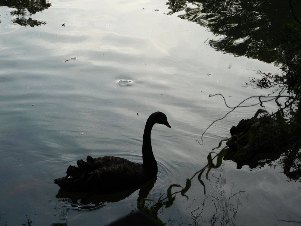 Photograph by Zsofia Schmidt-Mudik