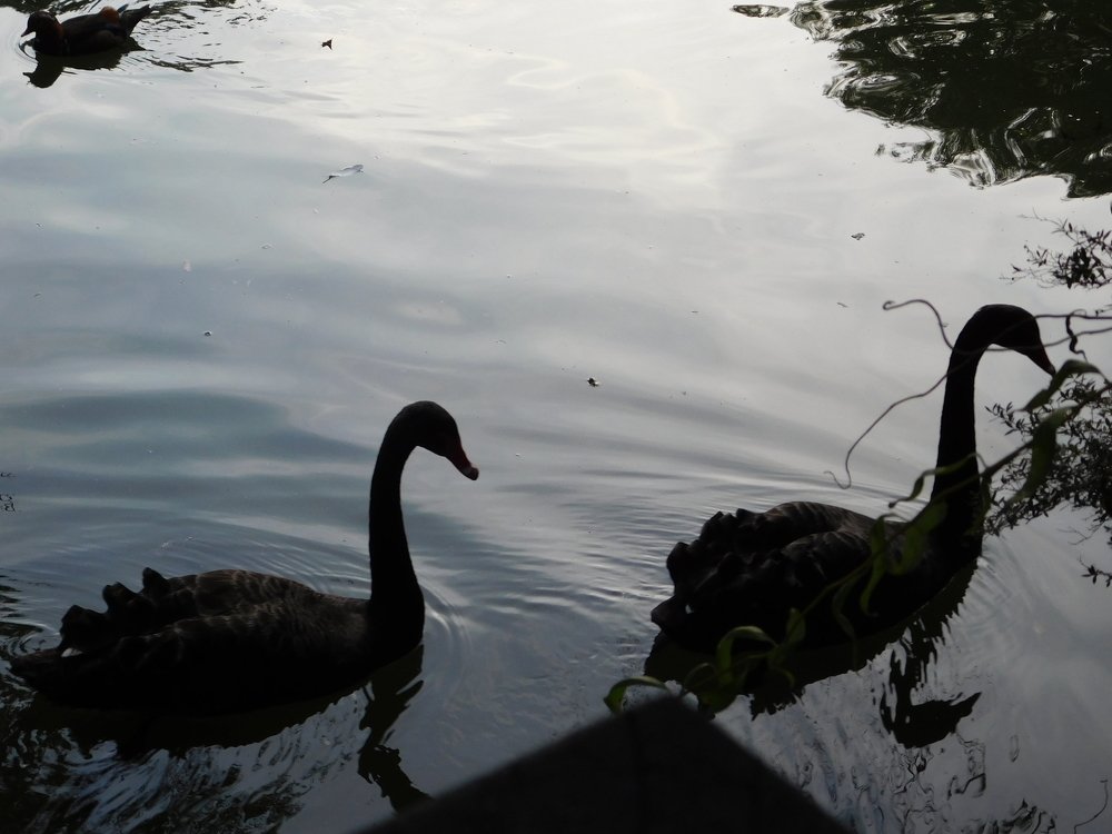 Photograph by Zsofia Schmidt-Mudik