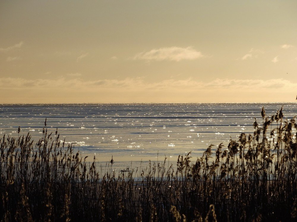 Photograph by ILONA OTRUTSKAYA