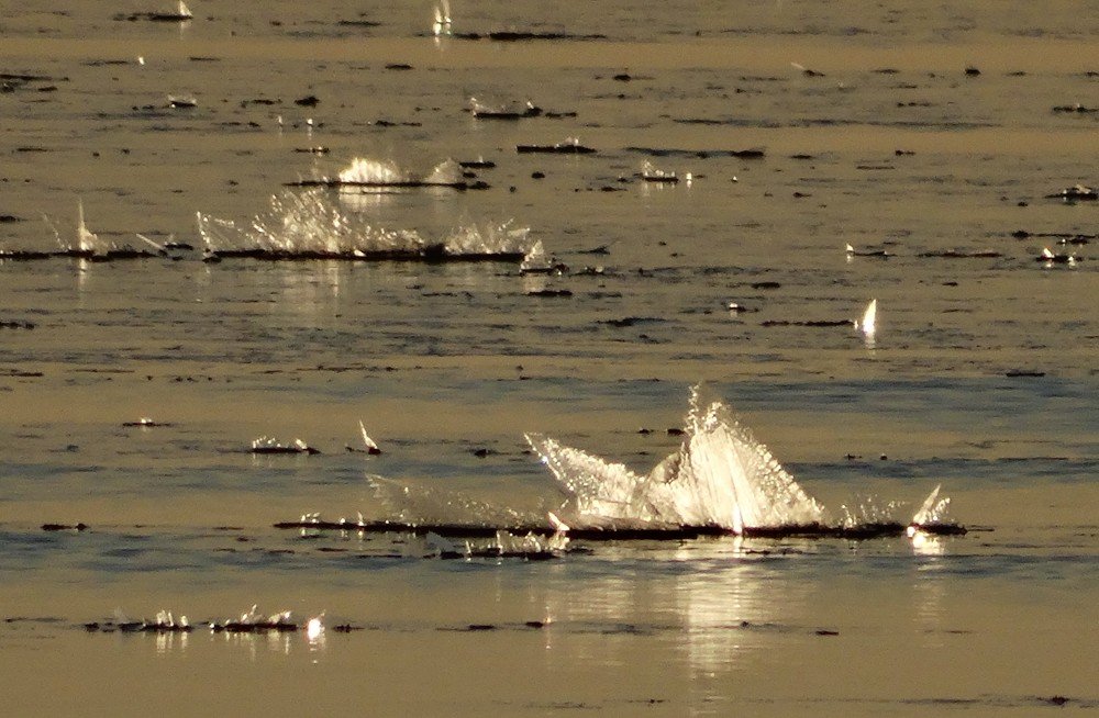 Photograph by ILONA OTRUTSKAYA